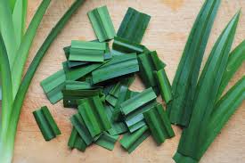 Daun Pandan 1 ikat