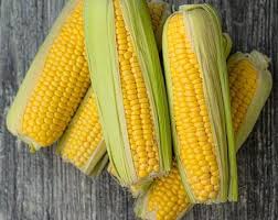 Jagung Manis 1kg