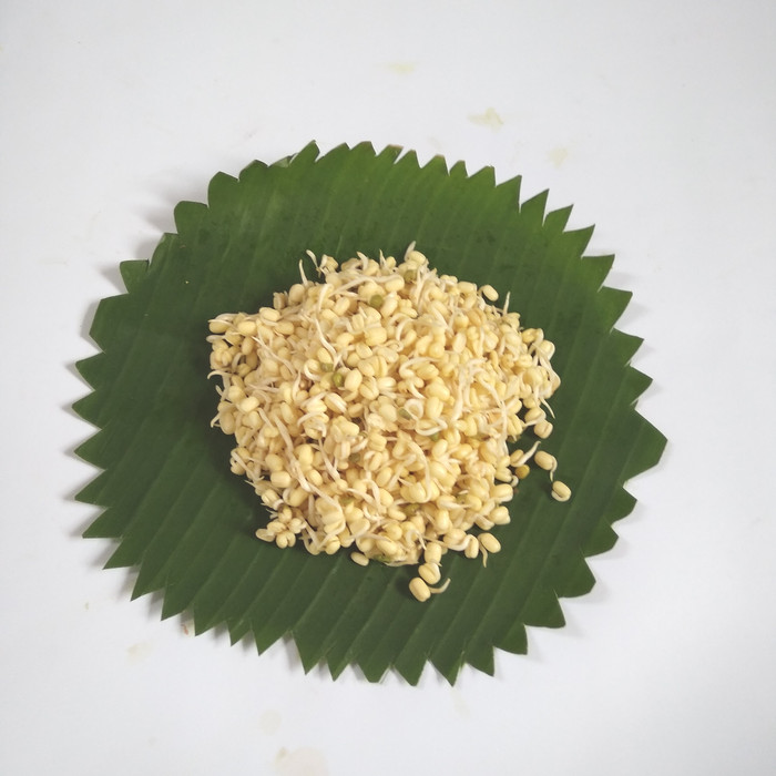 Kecambah Pendek 1kg